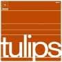 Maston: Tulips (2020 Reissue), LP
