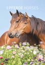 : Pferde 2025 - Bildkalender 23,7x34 cm - Kalender mit Platz für Notizen - mit vielen Zusatzinformationen - Horses - Wandkalender - Alpha Edition, KAL