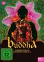 Dharmesh Shah: Buddha - Die Erleuchtung des Prinzen Siddharta Box 2, DVD,DVD,DVD