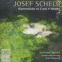 Josef Schelb: Klavierstücke zu 2 und 4 Händen, CD