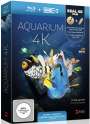 Simon Busch: Aquarium (Blu-ray & UHD-Stick), BR