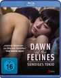 Kazuya Shiraishi: Dawn of the Felines (Blu-ray), BR