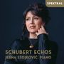 : Jelena Stojkovic - Schubert Echos, CD