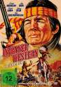 Ted Post: Indianer Western Box (6 Filme auf 2 DVDs), DVD,DVD