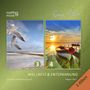 Ronny Matthes: Wellness & Entspannung Vol. 3 & 4 - Gemafreie christliche Meditationsmusik (inkl. Tiefenentspannung), CD,CD