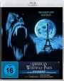 Anthony Waller: An American Werewolf in Paris (Blu-ray), BR