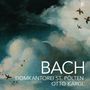 Johann Sebastian Bach: Messe g-moll BWV 235 (Lutherische Messe), CD