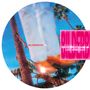 Bilderbuch: Live In Los Angeles (Picture Vinyl), LP