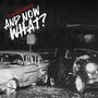 The Peacocks: And Now What?, CD