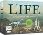 "LIFE – DAS WUNDER DER NATUR. Das spannende Flip & Write zum Thema Evolution." Illustration mit Dinosaurier und Menschen.
