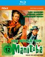 Sheldon Reynolds: Die Hölle von Manitoba (Blu-ray), BR