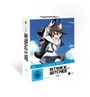 Strike Witches Vol. 1 (Limited Mediabook Edition) (mit Sammelschuber) (Blu-ray), BR