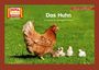 : Das Huhn / Kamishibai Bildkarten, Buch