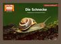 : Die Schnecke / Kamishibai Bildkarten, Buch