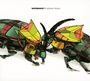 Adana Twins: Watergate 25, CD