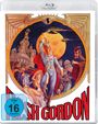 Howard Ziehm: Flesh Gordon (Special Edition) (Blu-ray), BR,BR