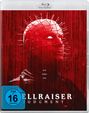 Text: "EVIL SEEKS EVIL", "HELLRAISER JUDGMENT", "FSK ab 16 freigegeben". Rotes, stacheliges Gesicht mit Nägeln.