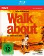 Nicolas Roeg: Walkabout - Der Traum vom Leben (Blu-ray), BR