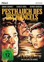 Luis Bunuel: Pesthauch des Dschungels, DVD