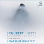 Die Worte "SCHUBERT HEFTI AMARYLLIS QUARTETT" erscheinen auf nebligem Berggipfel. Logo oben rechts.