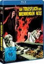 Antonio Margheriti: Todesfluch der Brennenden Hexe (Blu-ray), BR