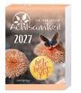 Jutta Vogt-Tegen: Ein Jahr voller Achtsamkeit Abreißkalender 2027 - Abreißkalender 2027 mit täglichen Impulsen & Mantras, KAL