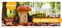 Haupt Verlag: Einheimische Pilze - das Memo-Spiel, SPL