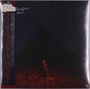 Phoebe Bridgers: Punisher, LP