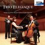 "TRIO ELEGIQUE" und "Yasushi Toyoshima / Ryoichi Fujimori / Kyoko Takemoto". Drei Musiker mit Violine, Klavier, Cello auf Bühne.