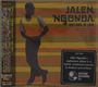 Jalen Ngonda, Doctrine of Love, Albumcover. Gestreiftes Hintergrunddesign mit silhouttenartiger Abbildung eines Mannes.