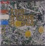 Text: "The Stone Roses." Eine abstrakte Hintergrundillustration mit Zitrusscheiben und einem lebhaften Farbmuster.