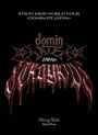Text: "STRAY KIDS WORLD TOUR <DOMINATE JAPAN>", "dominate", "JAPAN", "Stray Kids World Tour". Dunkler Hintergrund.