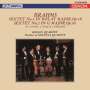 Johannes Brahms: Streichsextette Nr.1 & 2 (Ultra High Quality CD), CD