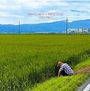 Akira Sakata X Triple Edge: Hokuriku, CD