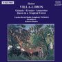 Heitor Villa-Lobos: Amazonas, CD