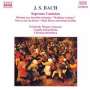 Johann Sebastian Bach: Kantaten BWV 199,202,209, CD