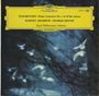Peter Iljitsch Tschaikowsky: Klavierkonzert Nr.1 (120g), LP