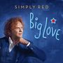 Simply Red: Big Love, CD