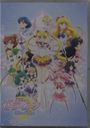 Sailor Moon Eternal: The Movie, DVD