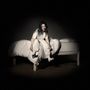 Billie Eilish: When We All Fall Asleep, Where Do We Go? (Deluxe Edition) (7"-Format), CD