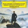 Franz Schubert: Wandererfantasie D.760 (Ultimate High Quality CD), CD