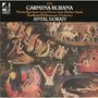Carmina Burana. Orff. Norma Burrowes, Louis Devos, John Shirley-Quirk. The Royal Philharmonic Orchestra. Antal Dorati.    
Oberer Bildteil: Fantasievolle, mittelalterliche Szene mit Figuren und Tieren.