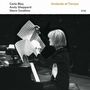 Carla Bley: Andando El Tiempo (UHQ-CD), CD