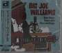 Big Joe Williams (Guitar / Blues): The Best Delmark Recordings, CD