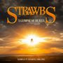 The Strawbs: A Glimpse of Heaven - Radio & TV Sessions 1966-1984, CD