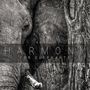 : Harmony For Elephants, CD