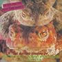 Peter And The Test Tube Babies: The Mating Sounds of South American Frogs 12 Vinyl, LP