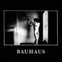 Bauhaus: In The Flat Field, CD