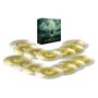 "The Lord of the Rings" Collection: Ein Set aus goldfarbenen Schallplatten mit einer Box im Hintergrund, kunstvoll gestaltet.