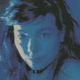 Björk: Telegram (180g), LP,LP